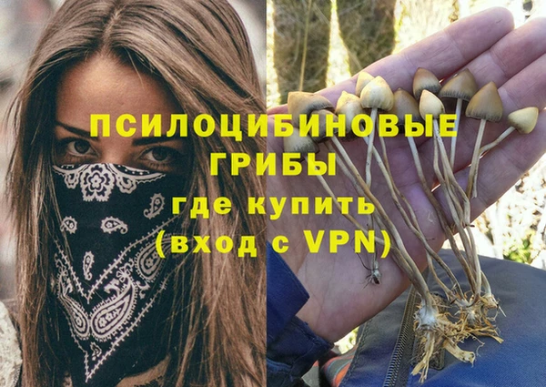 mdpv Арсеньев