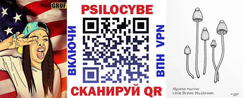 Псилоцибиновые грибы Psilocybine cubensis магазин Тимашёвск